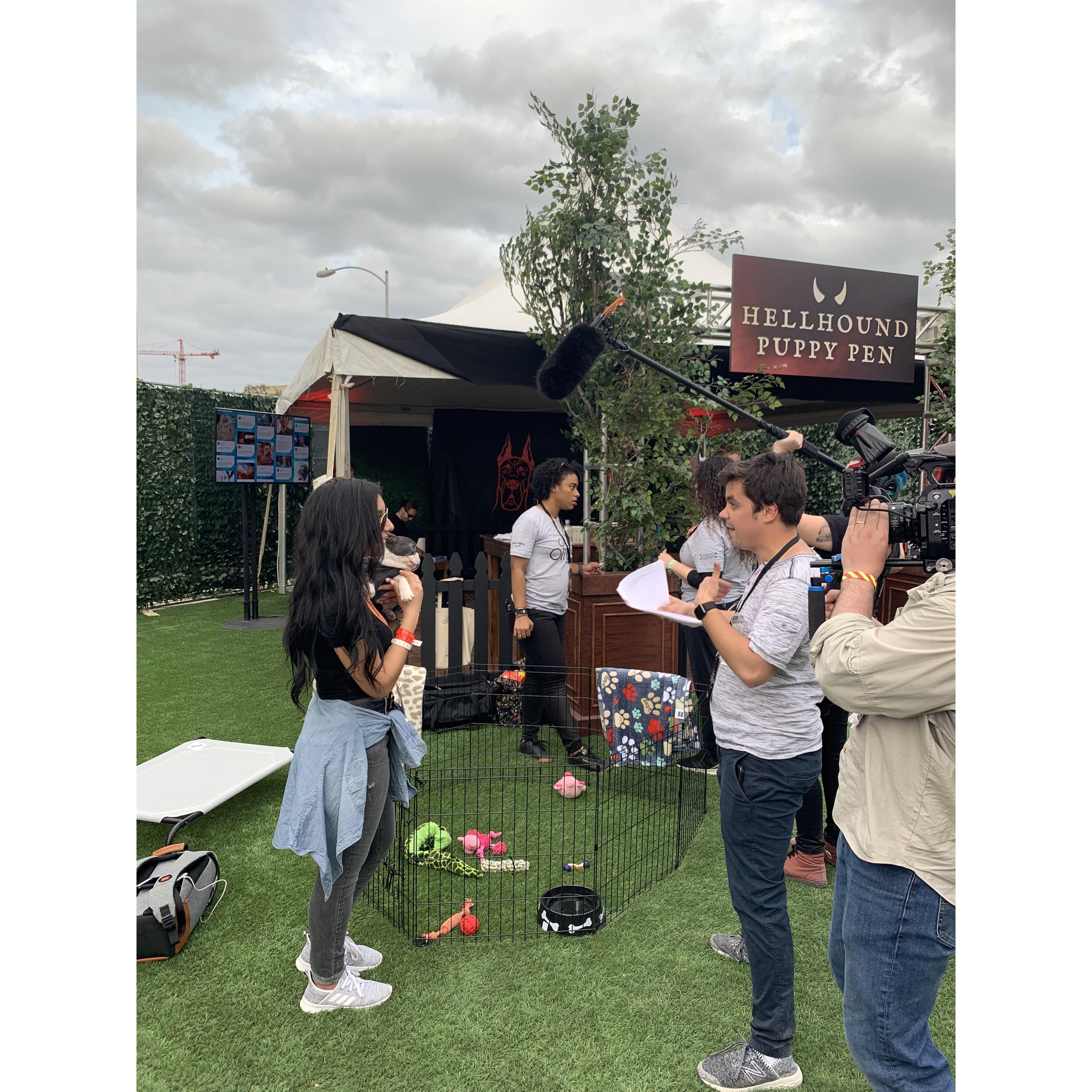 Marisa working - per usual - but puppies make it better.