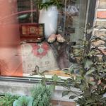 Souk by Minimal Chaos