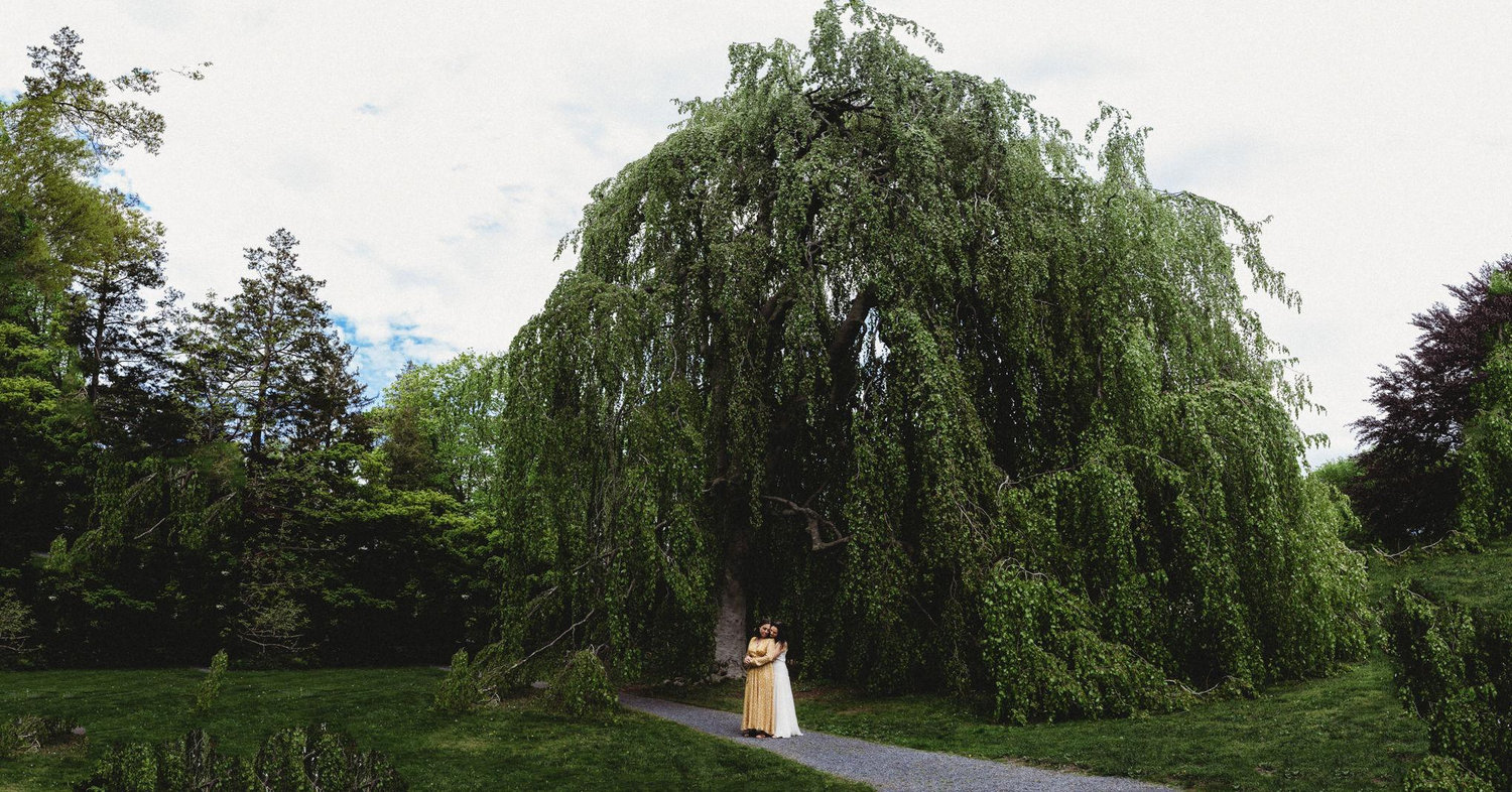 The Wedding Website of Anna Cohen and Sarah Johnson