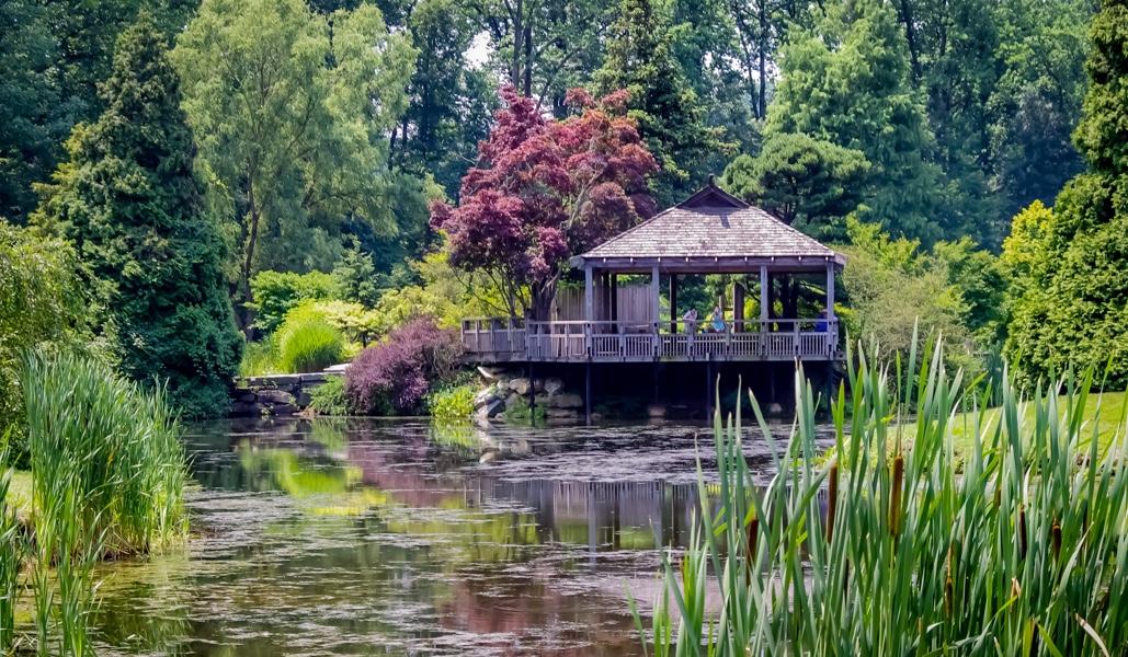 The Wedding Website of Kayla Molock and Matthew Donelson