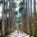 Jardim Botânico