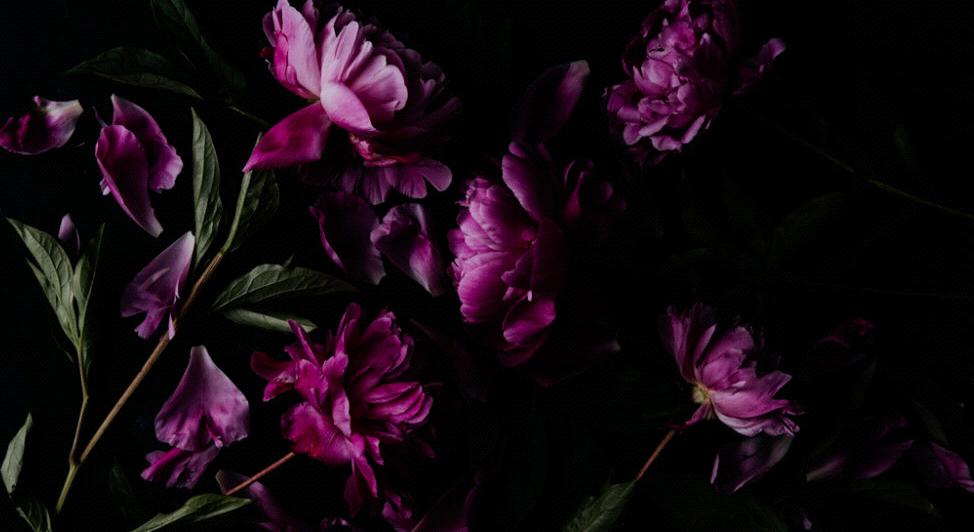 Footer image