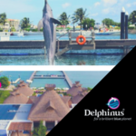 Delphinus Puerto Morelos