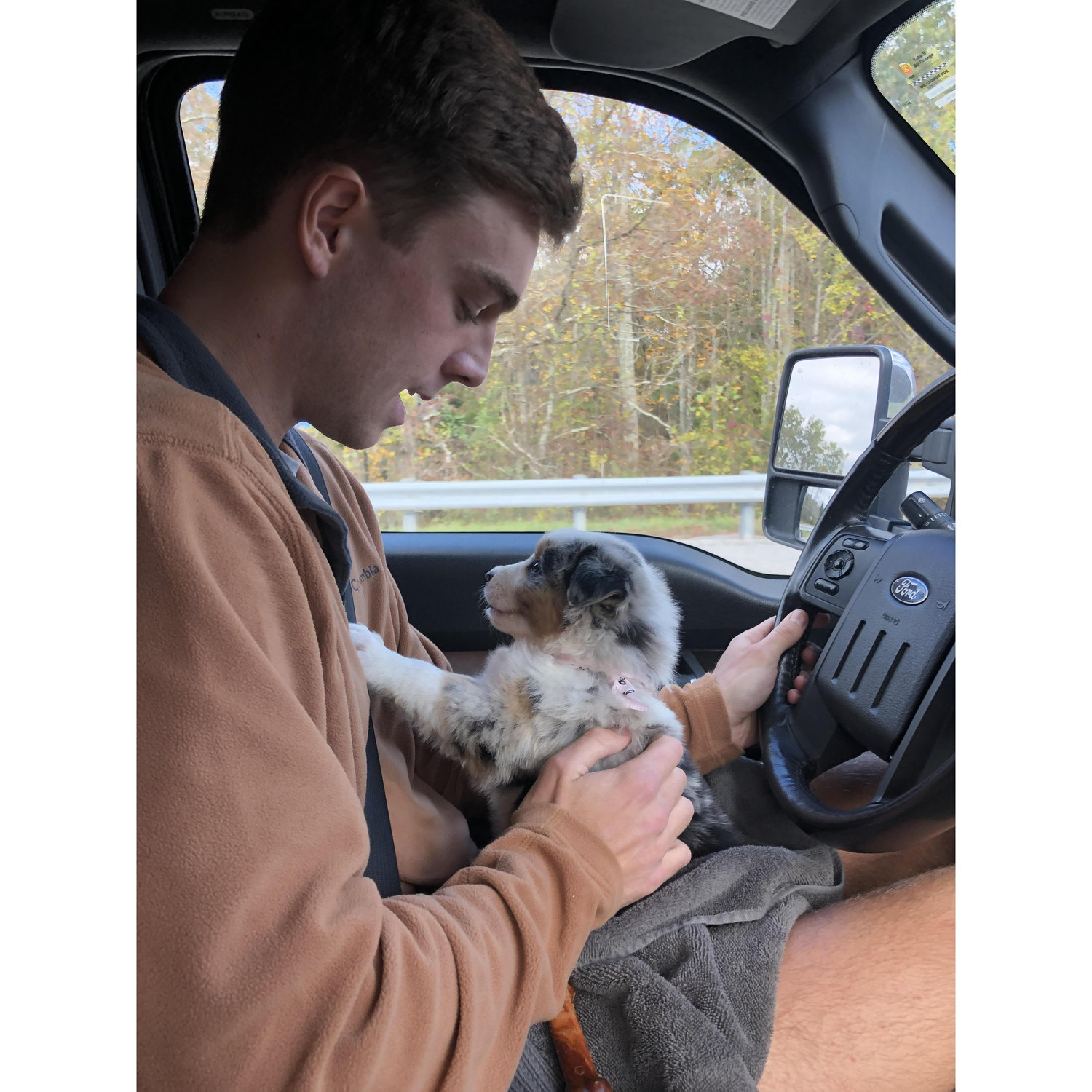 The day we got Macy, our Aussie