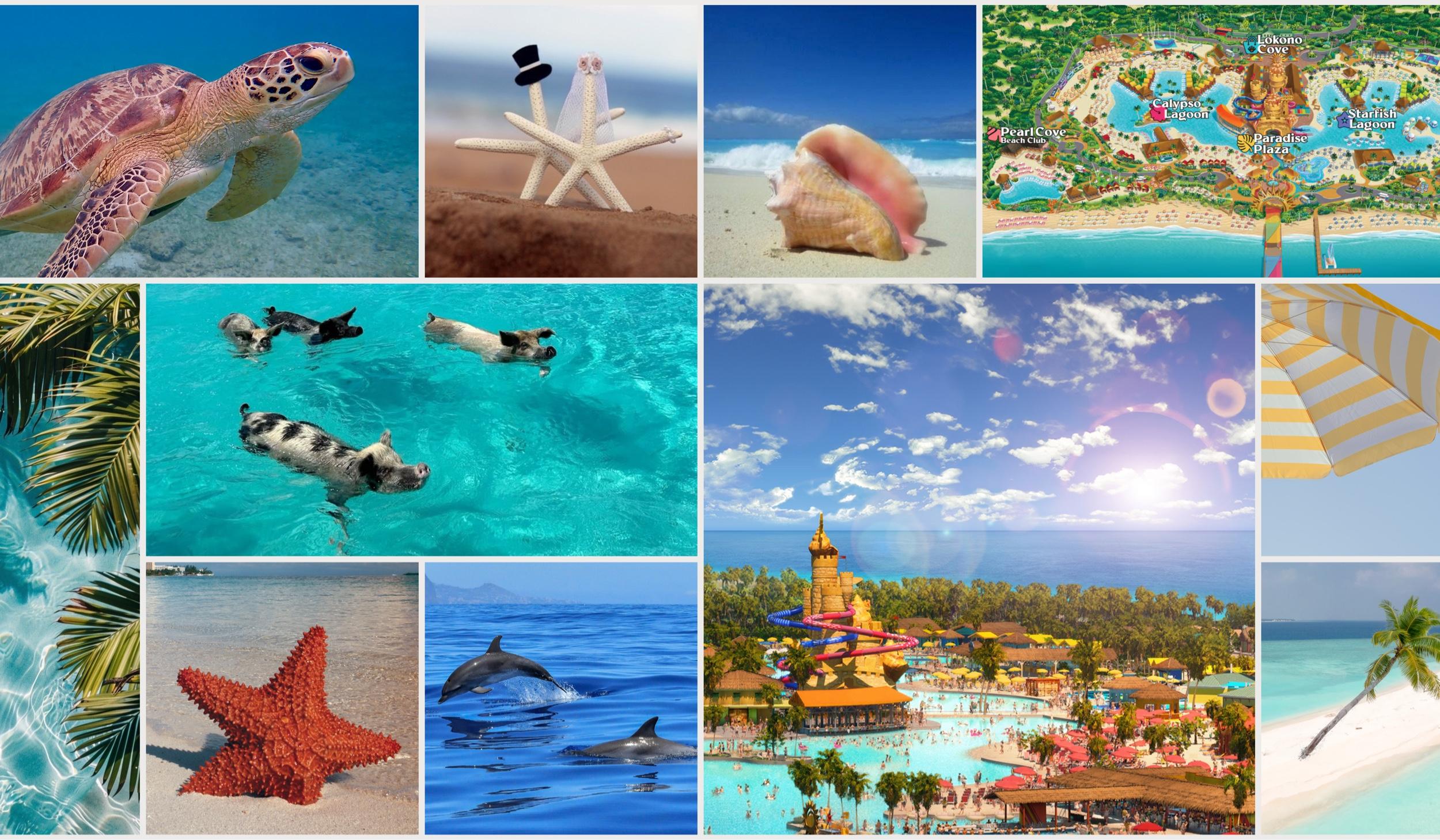 The Wedding Website of Jenny Caraballo and Garrett Stonecipher