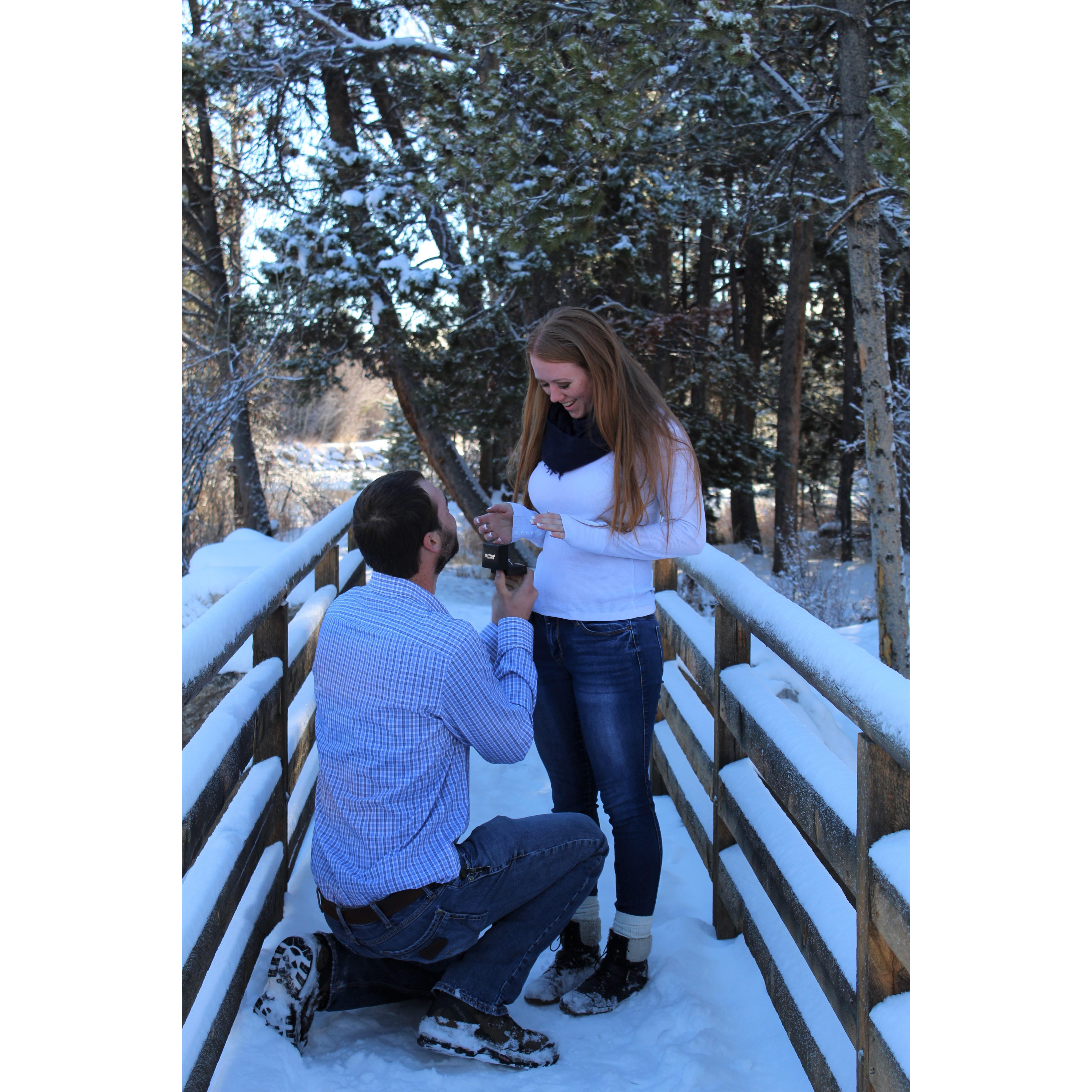 He asked, She said yes! 

November 23, 2018