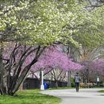 McCarren Park