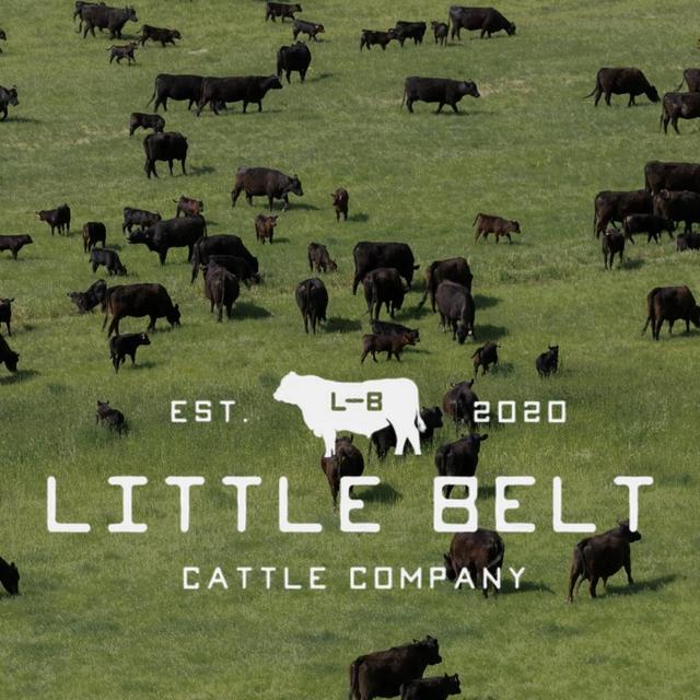 Little Belt Cattle Company 1/4 Cow