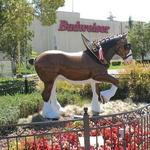 Anheuser-Busch Co