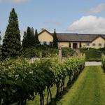 Wölffer Estate Vineyard