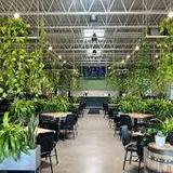 Wandering Leaf Brewing Company