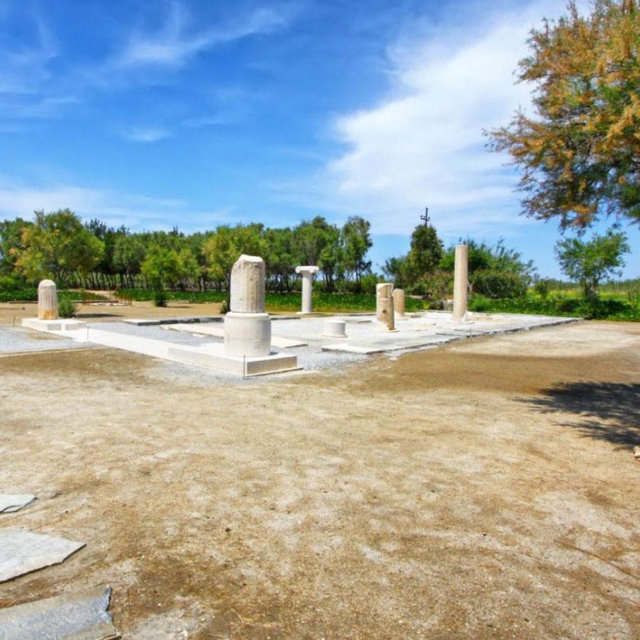 Dionysus tour with olive oil and wine tasting