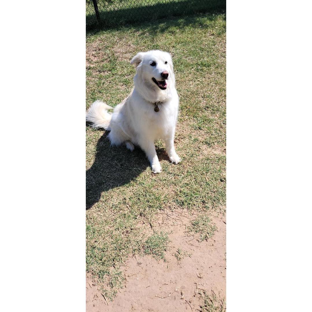 Montana playing at the park