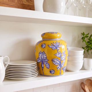 Lilia Decorative Ceramic Ginger Jar with Lid