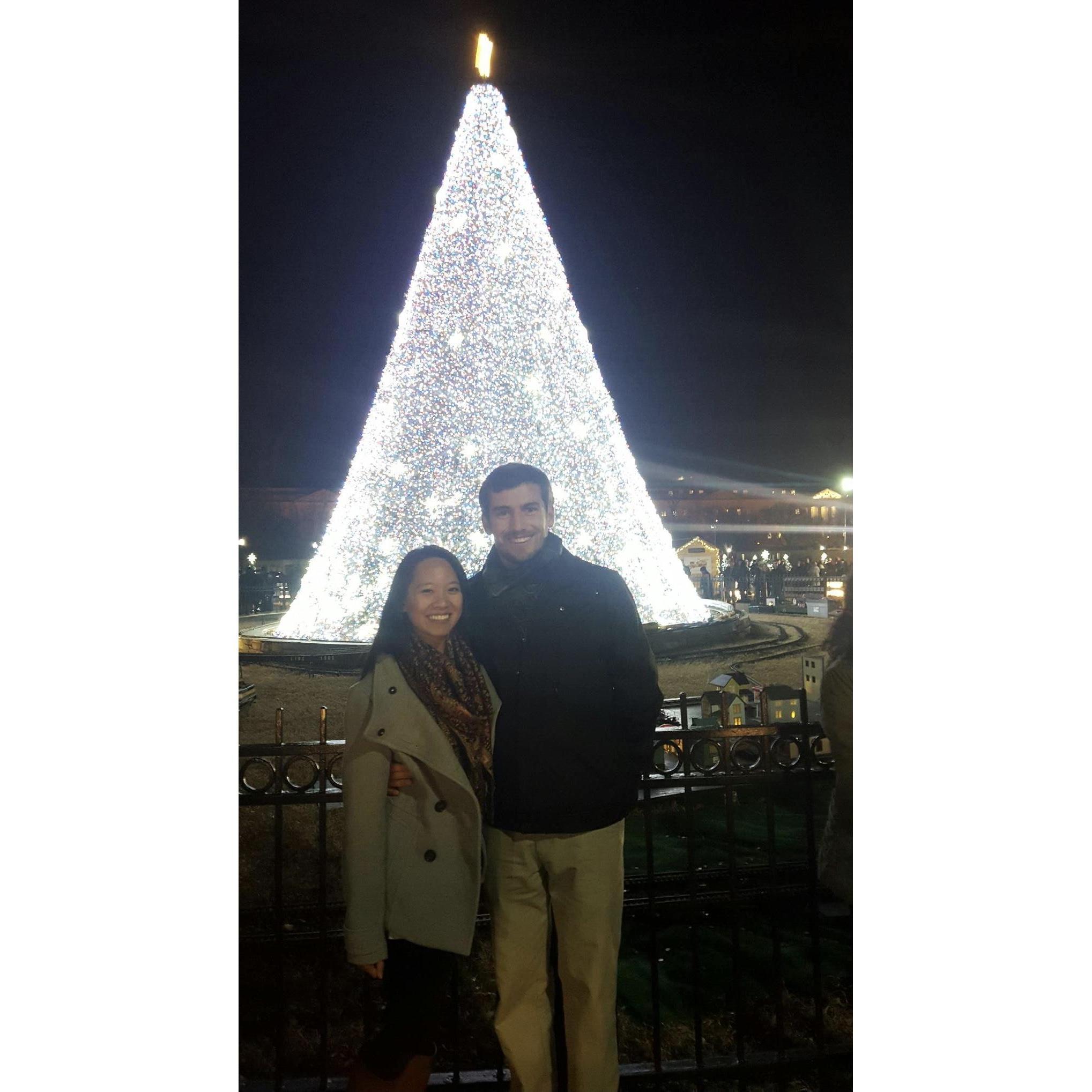 Our first date! <3
Zoo Lights at the National Zoo followed by seeing the National Christmas Tree.