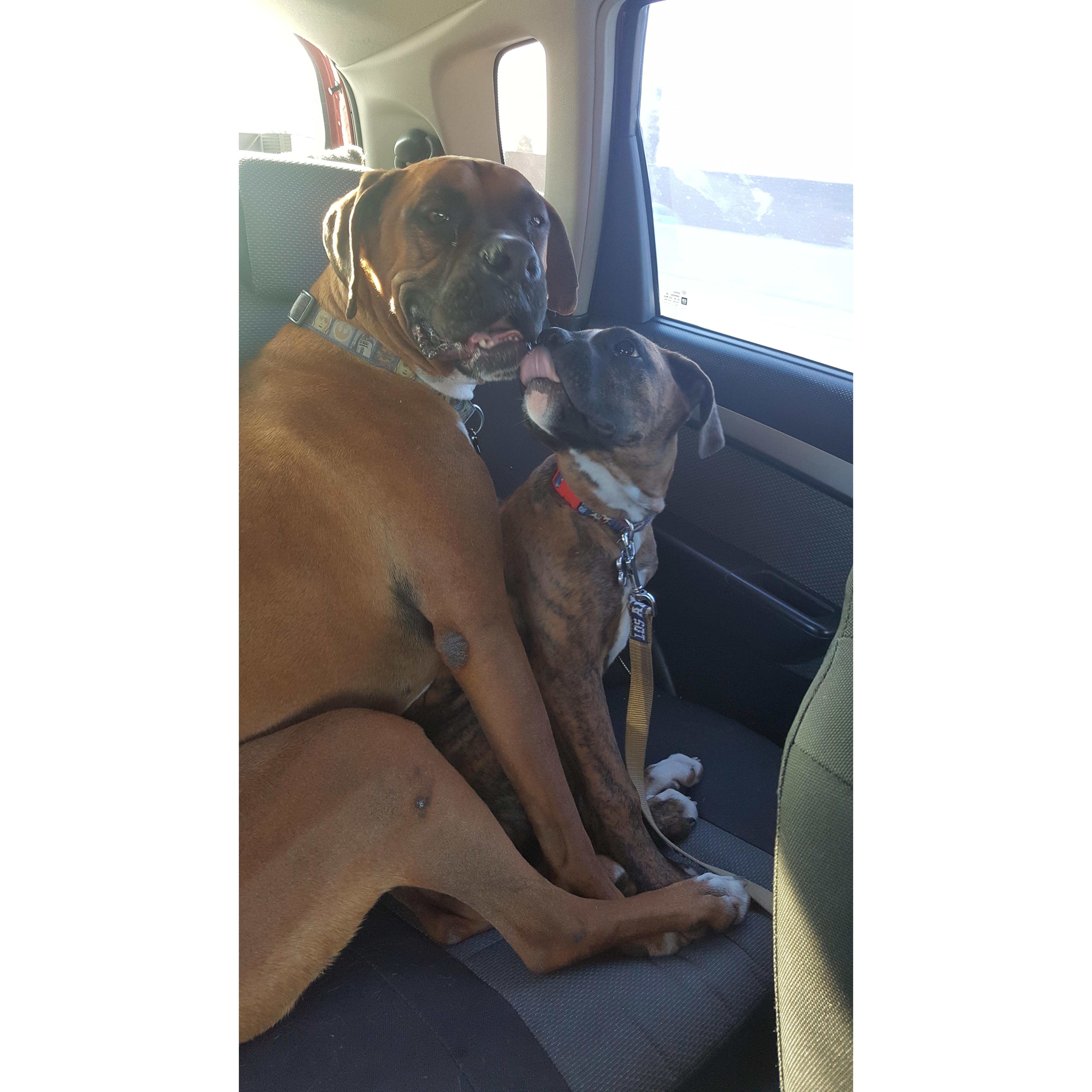 Brotherly love!