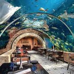 Aquarium dinner for two