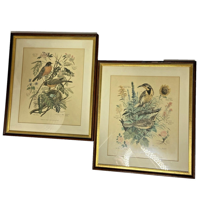 Pair Vtg 1957 Arthur Singer Framed Bird Wall Art Picture Print Robin Meadowlark