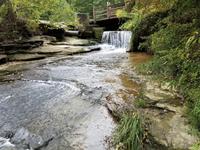 Saunders Springs Nature Preserve