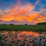 Arthur R. Marshall Loxahatchee National Wildlife Refuge