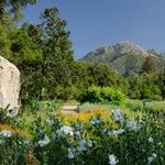 Santa Barbara Botanic Garden