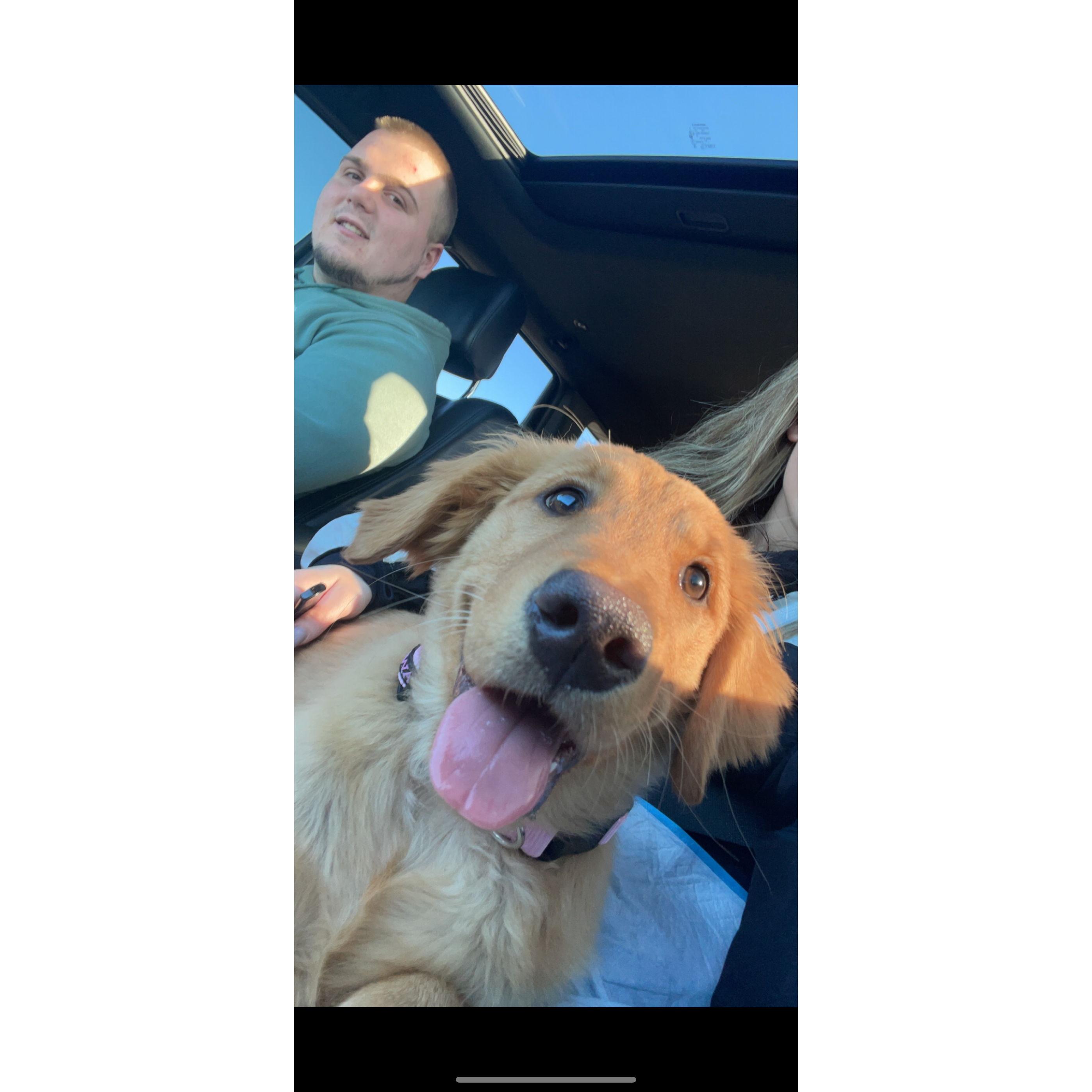 The day we brought lily home