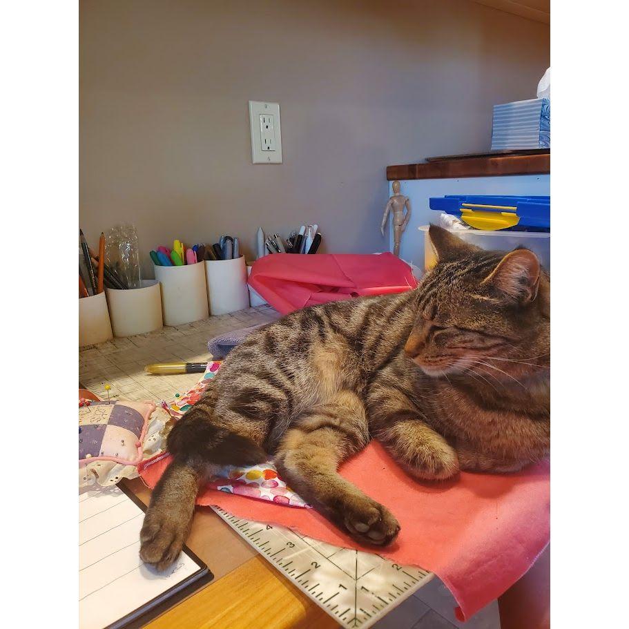 Still satisfied with her adoption decision
