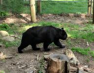 WNC Nature Center
