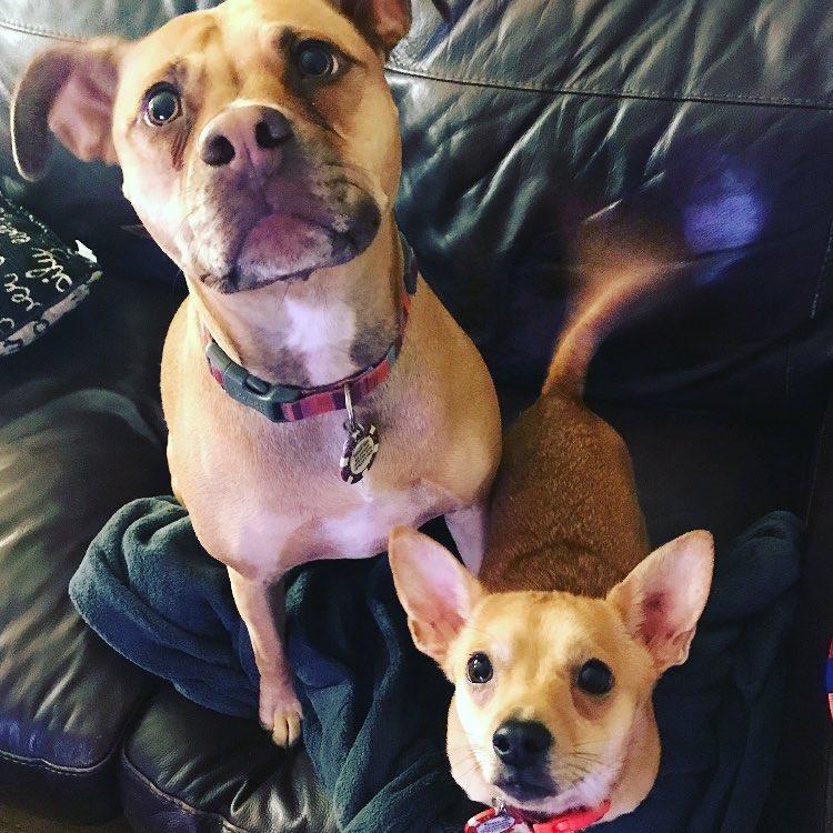 And we had to include a picture of Haze and Rico!