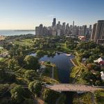 Nature Boardwalk at Lincoln Park Zoo