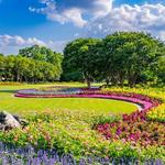The Dallas Arboretum and Botanical Garden