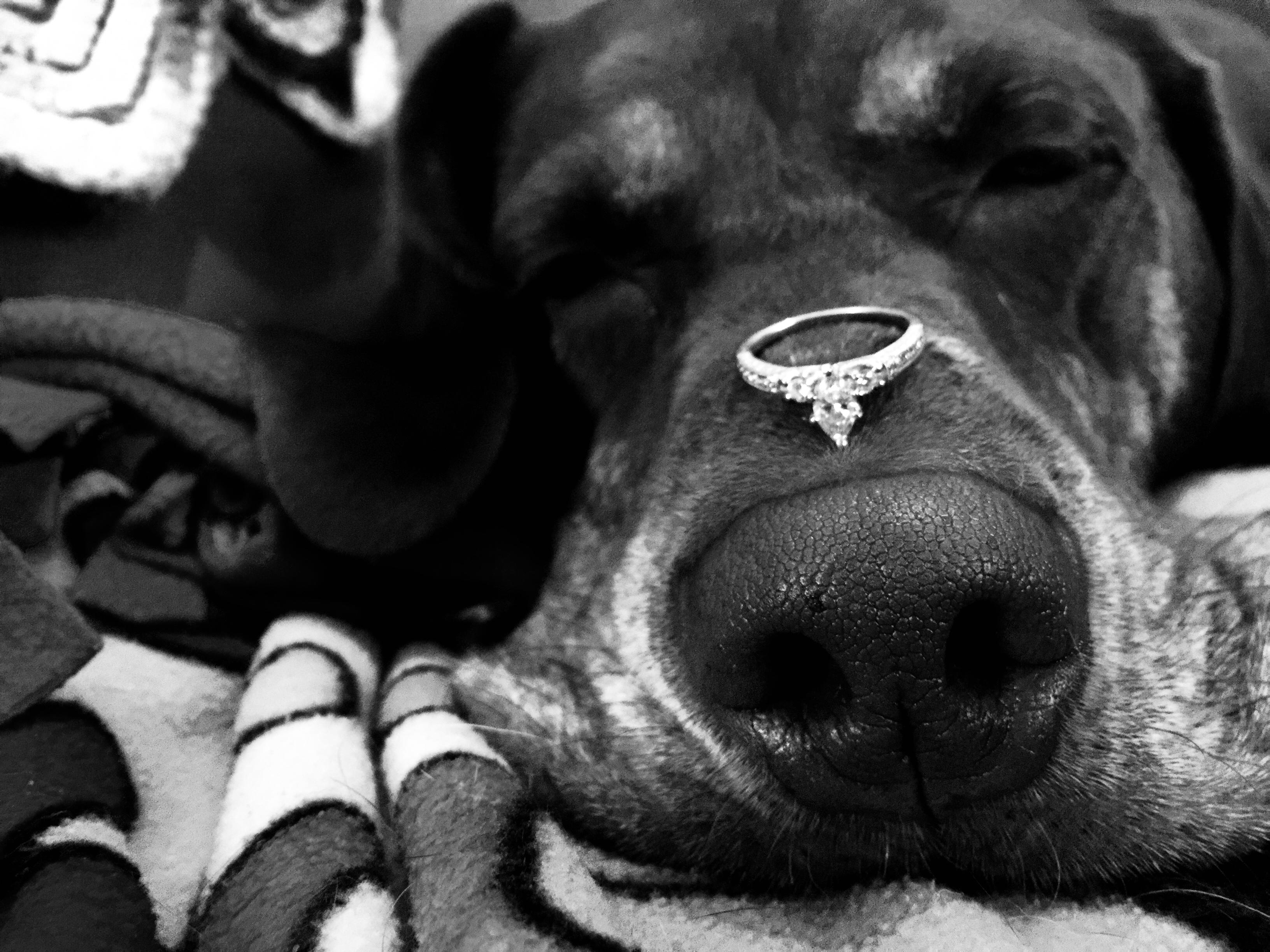 The Wedding Website of Marissa Mueller and Alex Urban