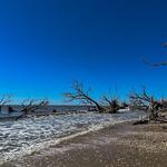 Botany Bay Island
