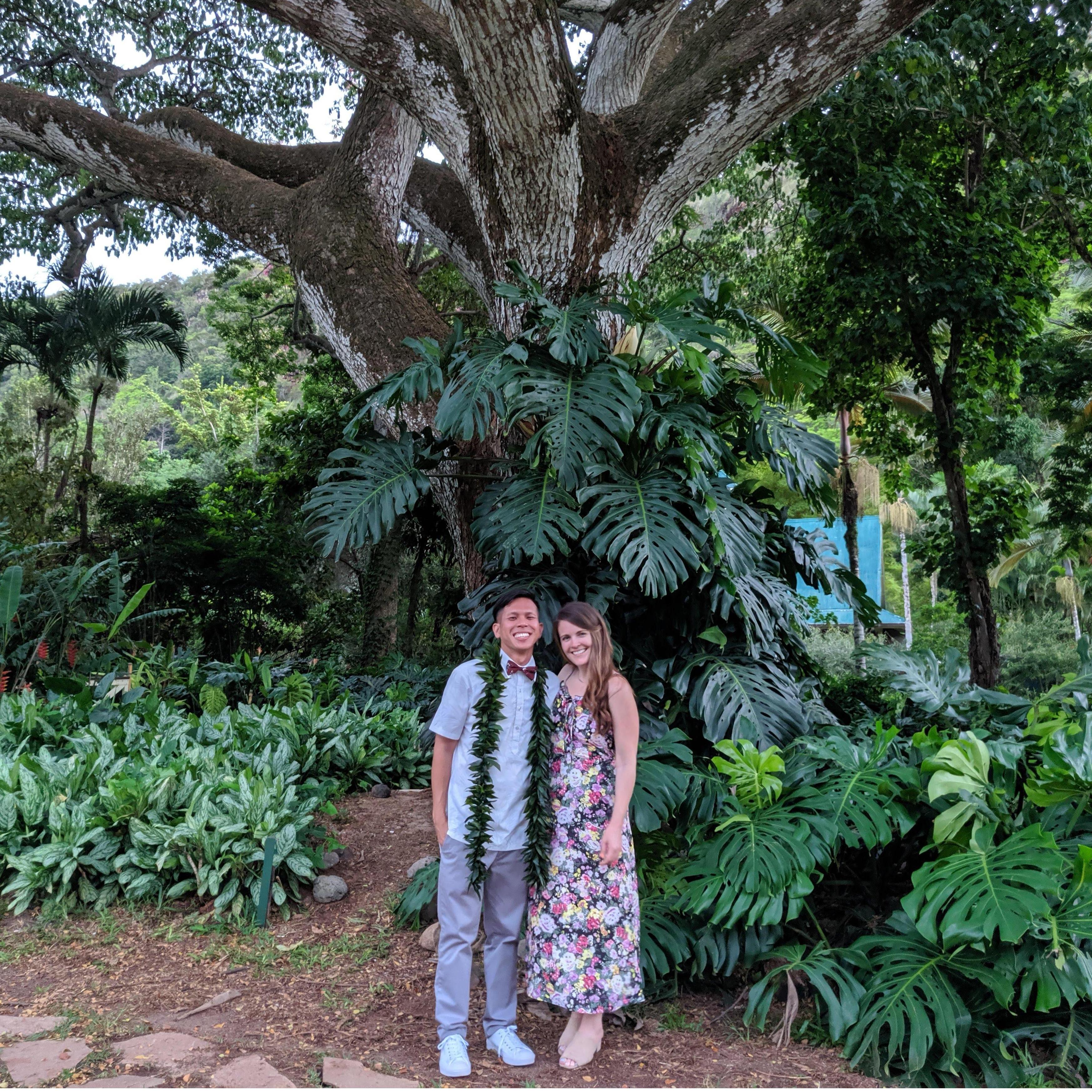 Under a magical tree in Waimea Valley, Oahu Hawaii, celebrating Justin & Ashlyn's wedding.