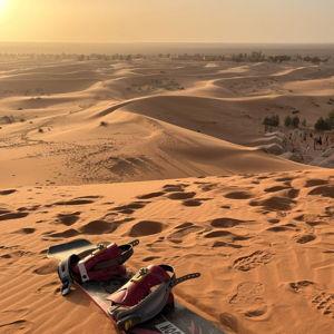 Dune Boarding Excursion