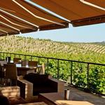 Ridge Vineyards