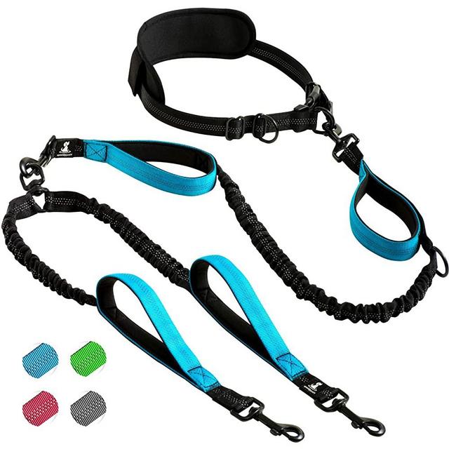 SparklyPets Hands-Free Dog Leash for Medium and Large Dogs – Professional Harness with Reflective Stitches for Training, Walking, Jogging and Running Your Pet