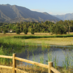 Ojai Meadows Preserve