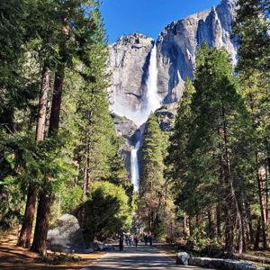 Yosemite Getaway