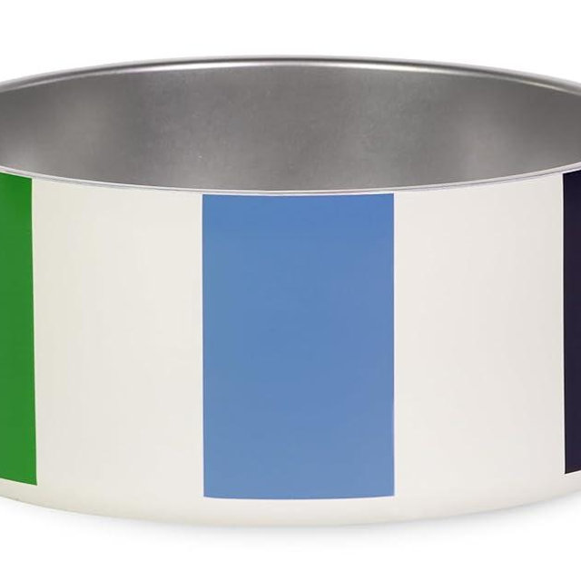 kate spade new york Dog Dish for Food and Water, Stainless Steel Bowl with Non-Slip Base, 4 Cup (32oz) Capacity, Large Pet Food Bowl or Water Dish for Dogs, Adventure Stripe