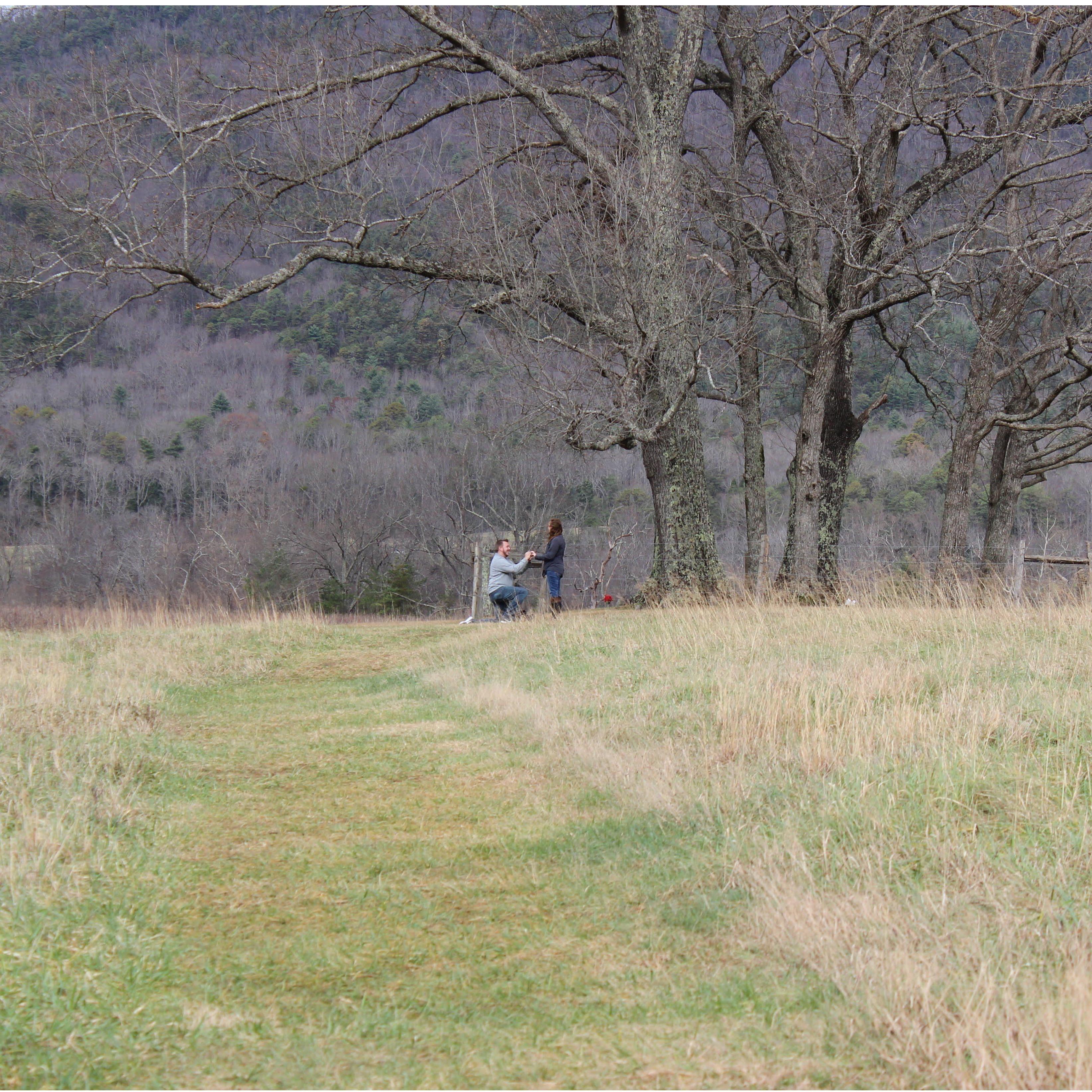 The moment Gene asked Maddie to marry him.
Cades Cove | Tennessee