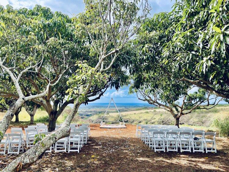 The Wedding Website of Andrea Balogh and Samuel Mendoza