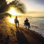 Horseback on the Beach