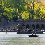 Central Park