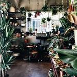 Temescal Alleys