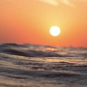 Sunset Dinner Cruise During Honeymoon