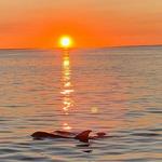Sunset Cruise on the Florida Bay