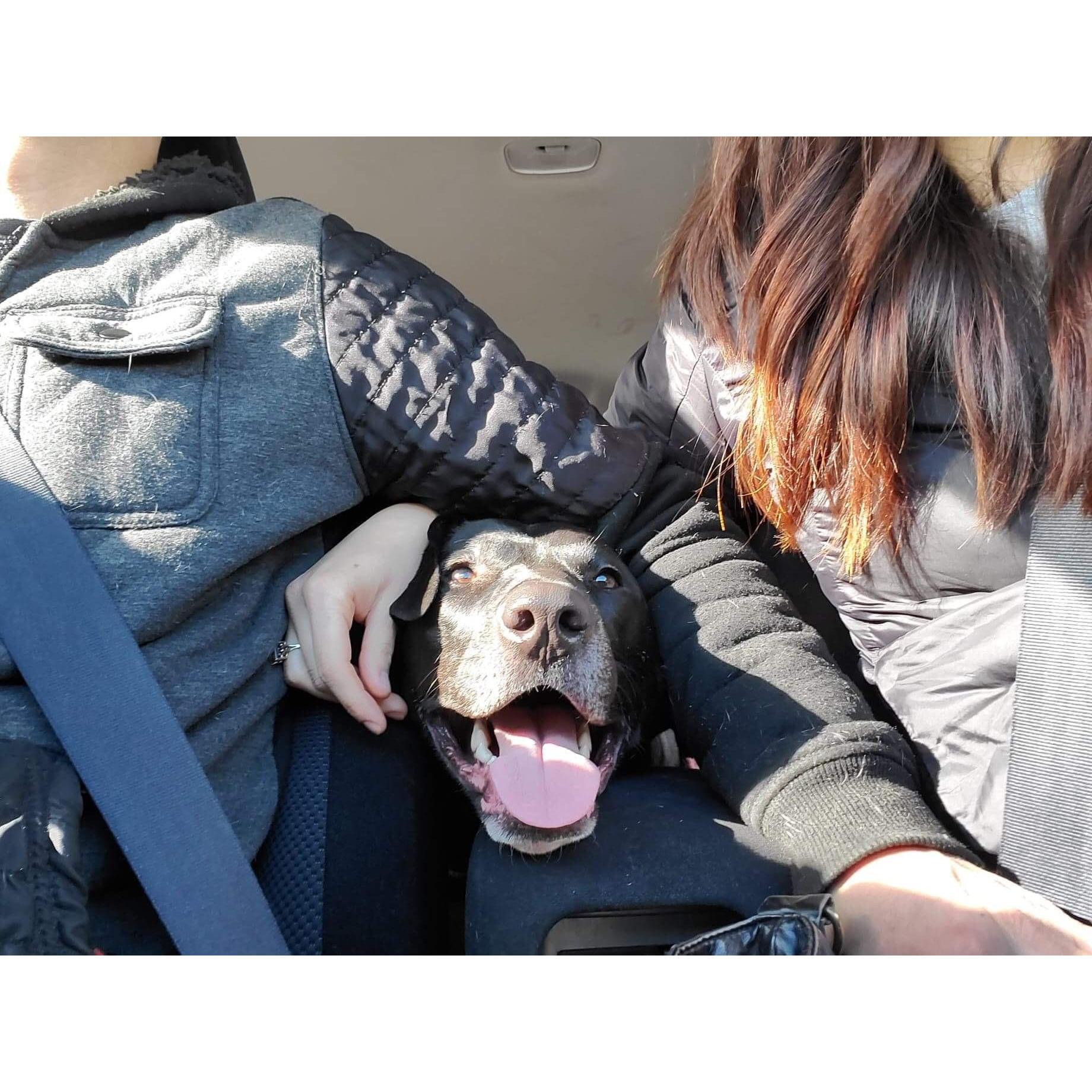 The most spoiled, happy girl