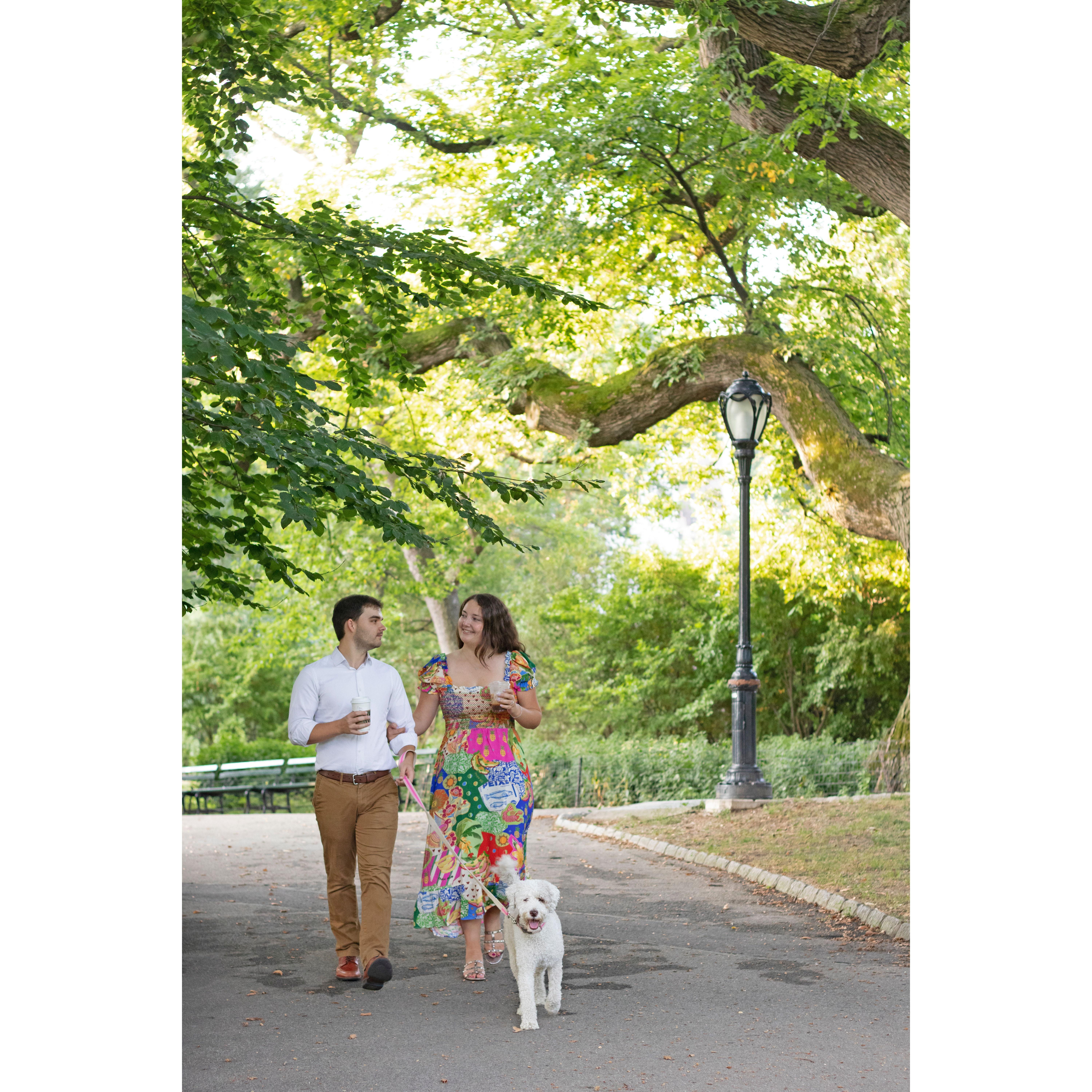 Walking our daily path in Central Park with Luna!