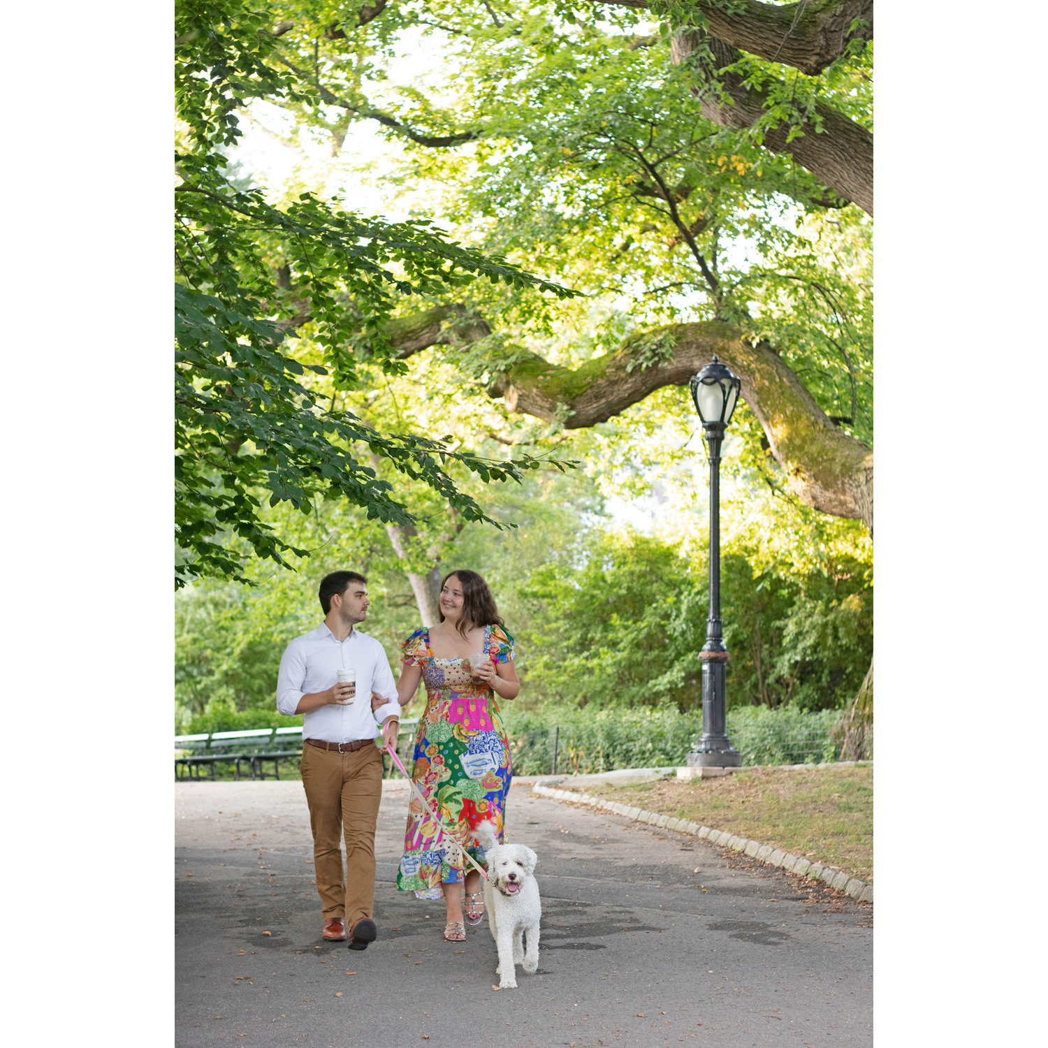 Walking our daily path in Central Park with Luna!